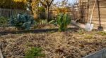 Potager : en octobre, ne bêchez plus, voici le rituel discret qui rend votre sol méconnaissable au printemps