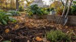 Potager : en septembre, ne faites plus ce geste courant que les jardiniers expérimentés accusent d’épuiser votre sol