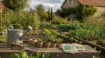 potager-fin-dete-ce-geste-simple-a-faire-entre-aout-et-septembre-change-vos-recoltes-dautomne-et