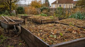 Potager : ils ont arrêté de bêcher avant l'hiver et font ce geste simple qui protège leur sol et leur dos