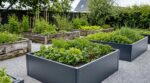 Potager : pourquoi les carrés en bois disparaissent en 2026, et ce qui les remplace chez les pros surprend