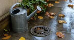Pourquoi mon voisin vide un arrosoir dans le puisard de sa terrasse en octobre (et ce que ça peut vous coûter)