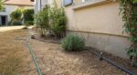 Sécheresse : ce changement au jardin peut encore éviter les fissures qui menacent les fondations de votre maison