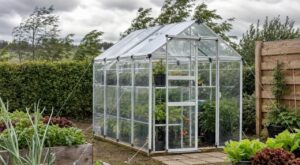 Serre de jardin : cette erreur avec le vent la détruit en une nuit, voici comment l'éviter avant la prochaine tempête
