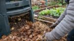 Si votre compost ou la terre du potager sent l’ammoniac, voici ce que les pros vous ordonnent de faire immédiatement