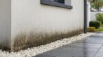 Si vous avez mis des galets blancs au pied de votre façade, ce détail peut noircir le mur en quelques hivers