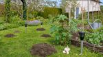 Taupes au jardin : cette méthode naturelle à suivre vite si vous voulez sauver votre pelouse sans les tuer
