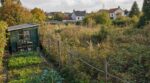 Terrain en friche derrière chez vous : cette démarche méconnue auprès de la mairie fait enfin venir le broyeur