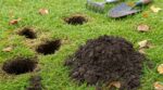 Trou dans la pelouse en septembre : si vous accusez les taupes, vous faites cette erreur qui abîme votre jardin