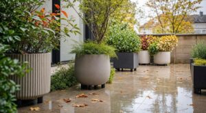 une-fois-lete-fini-gardez-vos-plantes-en-vie-ce-support-discret-remplace-la-soucoupe-sous-les-pots