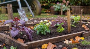 Vivaces plantées en septembre : cet objet de récup en bois que les pépiniéristes ajoutent pour sauver vos massifs