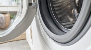Votre linge propre sent le moisi ? Cette partie cachée du lave-linge, pas le tambour, que vous devez sécher