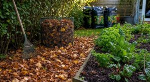 Vous achetez encore des sacs de terreau ? Ce trésor caché au fond du jardin peut vous faire économiser une fortune