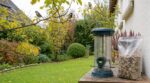 À la rentrée, nourrir les oiseaux du jardin trop tôt ? Cette erreur d’automne que les experts veulent éviter