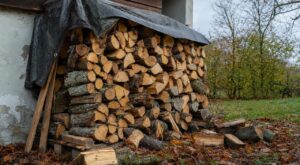 Bois de chauffage : cette méthode « parfaite » pour ranger votre tas le fait s'écrouler et pourrir en quinze jours