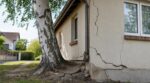 Ce bel arbre d’ombre près du salon inquiète les maçons sur sol argileux : l’erreur qui fissure les murs