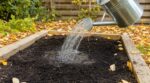 Ce test avec l'arrosoir en automne révèle si votre carré potager en terreau en sacs va tuer vos semis
