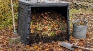 Compost d'automne figé : cette erreur avec les déchets d'octobre bloque tout, voici les 3 gestes pour le relancer