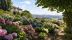 Dans l'Oise, ce jardin privé aux 400 hortensias tient le coup en canicule grâce à une méthode qui peut sauver le vôtre