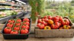 Deux tomates aussi rouges en plein mois de juillet : un maraîcher explique pourquoi celle du supermarché n'a aucun goût en bouche