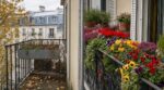 Deux voisins ont remisé leurs géraniums fin octobre : un seul profitera d'un balcon éclatant de pensées jusqu'au mois de décembre