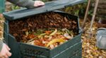 Deux voisins subissaient le même nuage de moucherons au compost : un seul a réglé le problème en automne avec un geste gratuit de 10 secondes