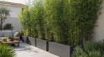 En jardinerie, cette variété de bambou à privilégier pour une haie brise-vue sans fissurer la terrasse ni payer 4 000 €