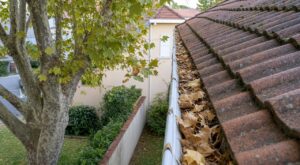 Envoyer au voisin la facture de vos gouttières bouchées : pourquoi cette erreur ne vous fera pas gagner devant le juge