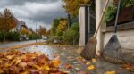 Feuilles mortes : ce geste juste avant la première pluie d’octobre évite chutes, taches… et une mauvaise surprise