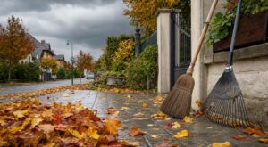 Feuilles mortes : ce geste juste avant la première pluie d'octobre évite chutes, taches… et une mauvaise surprise