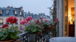 Géraniums de balcon : pourquoi le seuil de 5 °C la nuit dès octobre change tout pour garder ses pélargoniums jusqu'au printemps