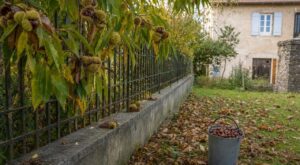 Il a gaulé les branches du châtaignier voisin qui dépassaient chez lui un dimanche d'octobre : ce plein seau ne lui appartenait pas