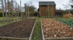 Il a laissé la terre de ses tomates à nu fin octobre : au retour du printemps, sa note de terreau en jardinerie avait doublé