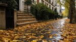 Il a laissé les feuilles mortes sur son trottoir tout le mois de novembre : quand une passante a glissé, c'est son assureur qui a payé