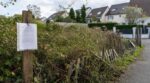 Il a laissé les ronces envahir ce terrain hérité à deux rues de chez lui : c'est la mairie qui a ordonné les travaux à ses frais
