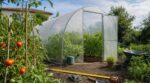 Il a monté une serre tunnel au potager un week-end d'avril pour ses tomates : l'été suivant, c'est la mairie qui est venue avec un mètre