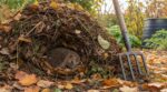 Il a planté sa fourche dans le compost fin octobre pour l'aérer : au fond du tas, c'est un hérisson qui venait d'entrer en hibernation