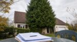 Il a replanté son sapin de Noël devant sa maison un 2 janvier : 15 ans plus tard, c'est la mairie qui a stoppé l'élagueur cet automne