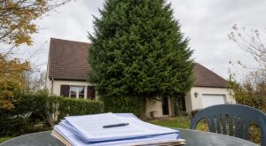 Il a replanté son sapin de Noël devant sa maison un 2 janvier : 15 ans plus tard, c'est la mairie qui a stoppé l'élagueur cet automne