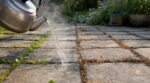 « J'ai banni l'eau de Javel de ma terrasse » : ce réflexe de cuisine a détruit les mauvaises herbes des dalles en seulement trois jours