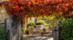 J'ai planté une vigne de Coignet sur ma pergola juste pour avoir de l'ombre : en octobre, les voisins s'arrêtent tous devant le portail