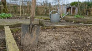 « J'ai retiré chaque racine du potager en novembre » : au printemps, la bêche ne rentrait plus d'un centimètre dans cette terre béton