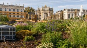 Jardin éphémère à Nancy : la méthode des jardiniers de la place Stanislas pour faire fleurir 13 000 plantes en octobre sans eau potable