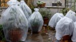 Jardin : on croit protéger ses plantes avec cette couverture d’hiver courante, elle peut en réalité les faire pourrir