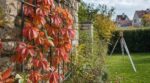 J'avais juste fixé un treillis pour ma vigne vierge sur ce vieux mur : l'automne suivant, mon voisin est venu avec un géomètre-expert