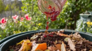« Je le rinçais à l'évier depuis dix ans » : ce simple fond de pot de confiture réveille un compost en 3 gestes dès le mois d'avril