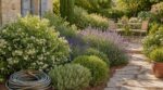 « Je ne fais plus rien dès fin août » : ces 7 arbustes comme l'oranger du Mexique transforment le jardin une fois plantés en septembre