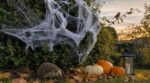 « Je pensais amuser les enfants avec cette fausse toile d'araignée » : ce qu'elle fait aux oiseaux et aux hérissons de la haie en octobre