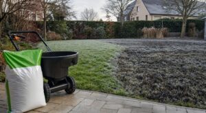 « Je pensais fortifier ma pelouse avant l'hiver » : à la première gelée de novembre, ce soin d'octobre a fait noircir tout le gazon