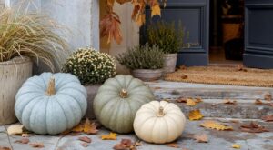 Les décorateurs ont abandonné la citrouille orange en octobre : la courge Bleu de Hongrie tient trois mois entiers sur le perron